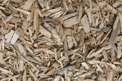 biomass boilers Curry Mallet